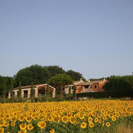 Rustico Del Conero Villa Camerano Eksteriør billede