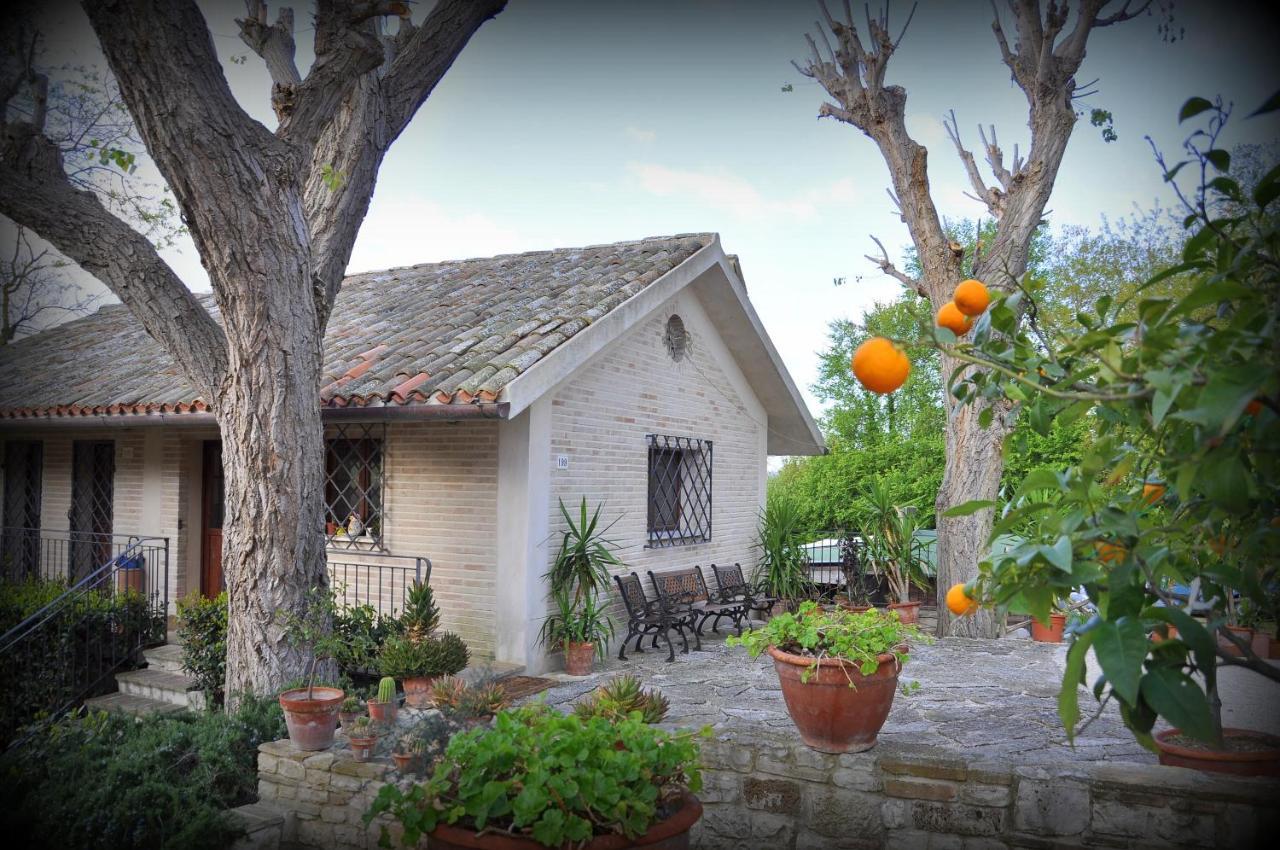Rustico Del Conero Villa Camerano Eksteriør billede