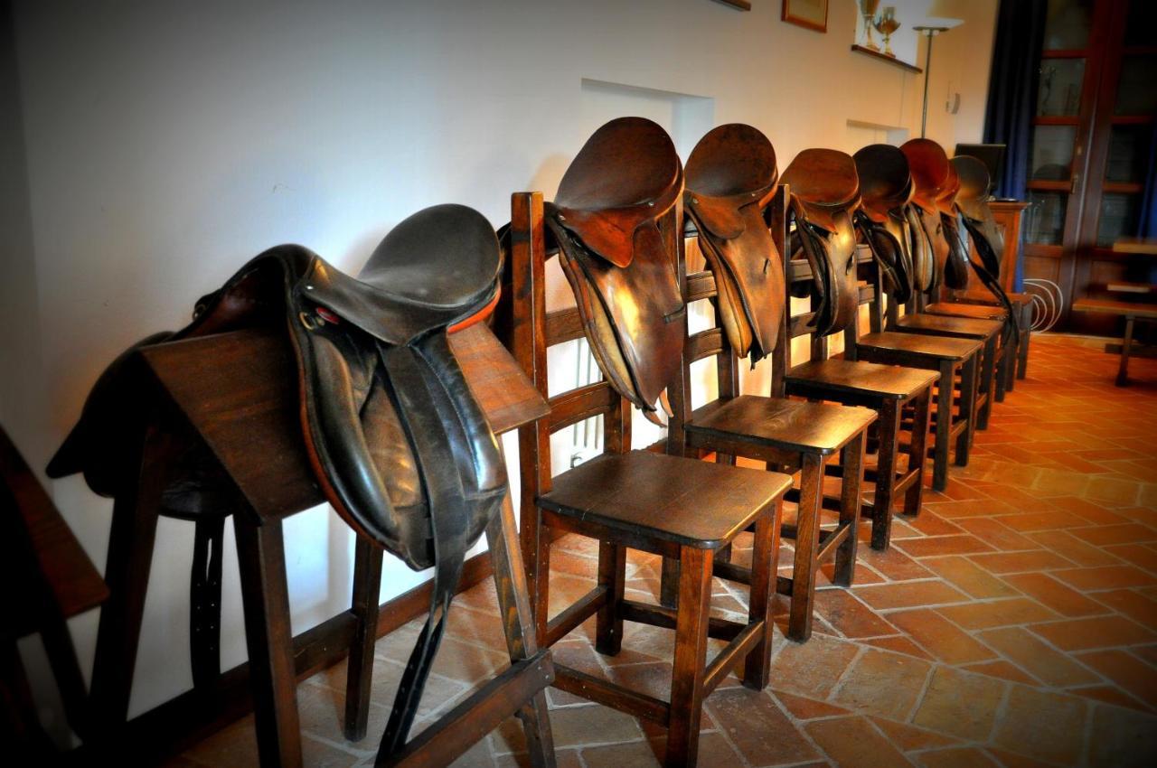Rustico Del Conero Villa Camerano Eksteriør billede